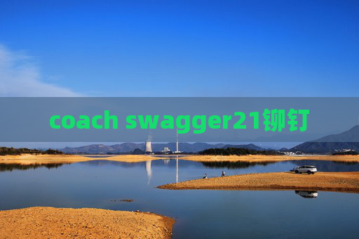 coach swagger21铆钉